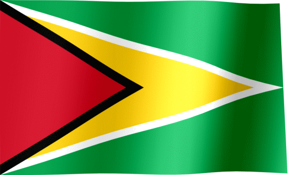 Flag of Guyana